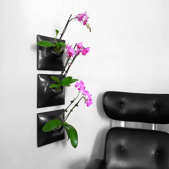 black ceramic wall planters with orchids