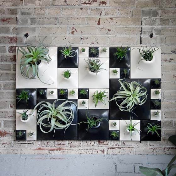 black and white ceramic wallscape planters