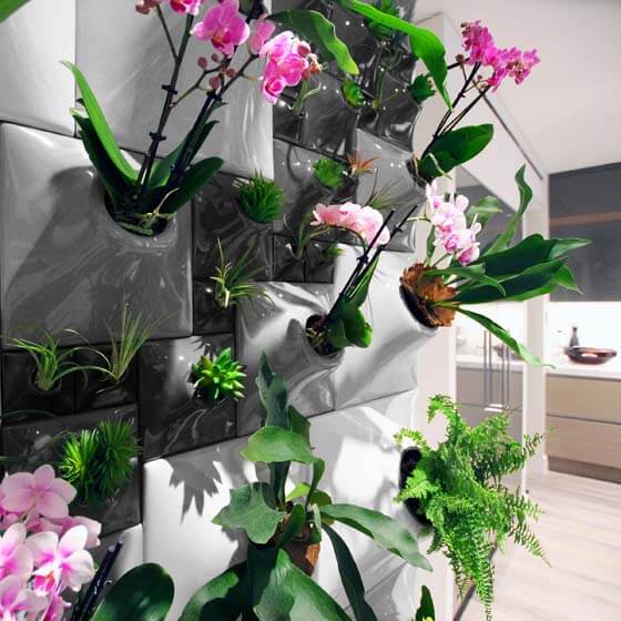 plant wall with ceramic wall planters