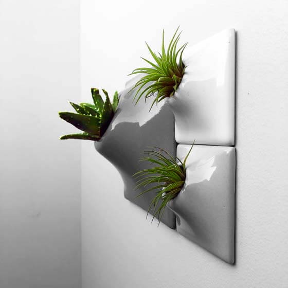 ceramic wall planters for wall plants