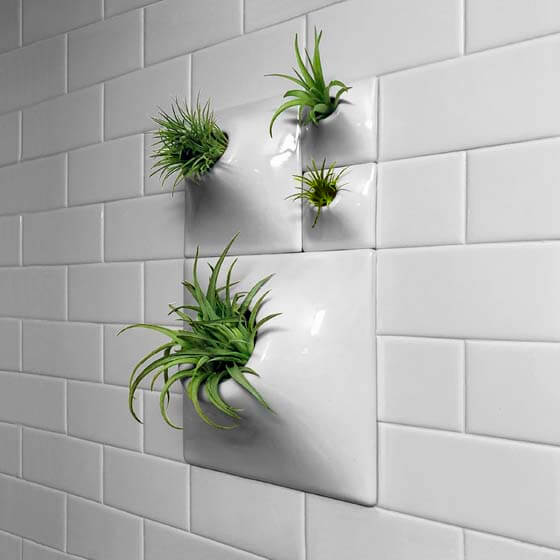 white ceramic wallscape planters