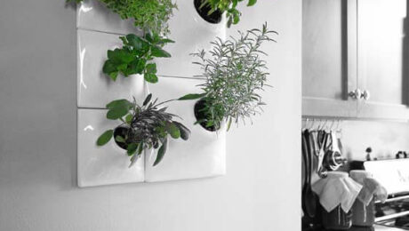 vertical herb garden with white ceramic wall planters